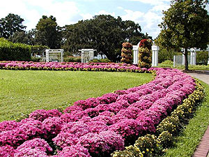 Cypress Gardens gardens