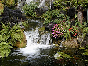 Cypress gardens waterfall pond