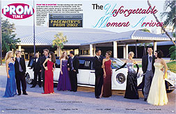 Manatee Center Limo photo