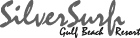 Silver Surf logo